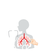 2nd Edition of International Conference on Advanced Pulmonology, Respiratory Medicine & Lung Health